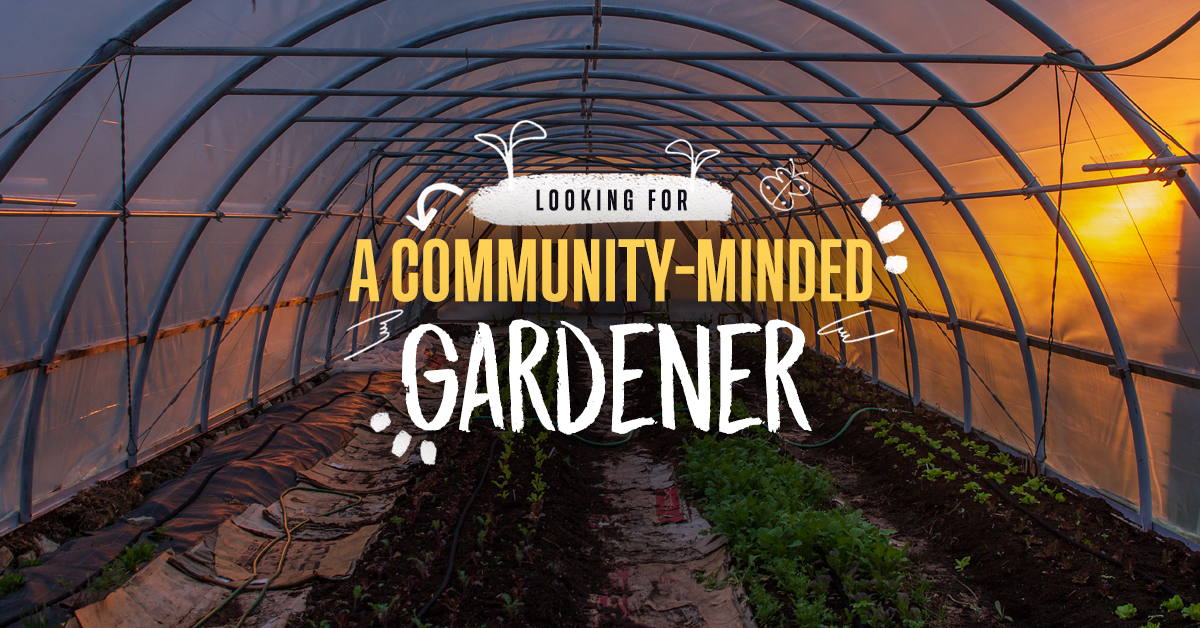 Looking for a community-minded gardener